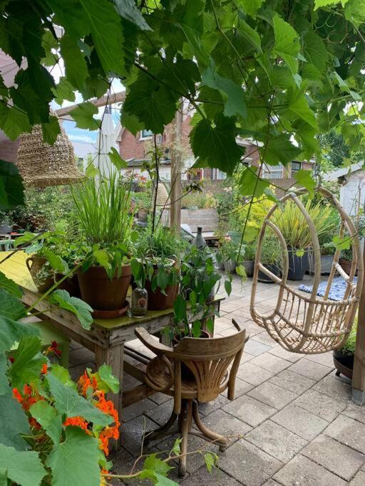 De Bollenschuur Villa Egmond aan Zee Kültér fotó